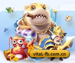 FB体育的故事(fbtiyu)